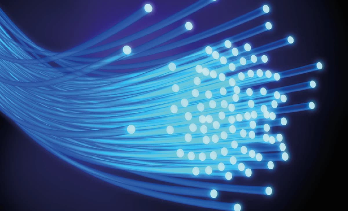 What-counts-as-fibre-and-why-you-should-care